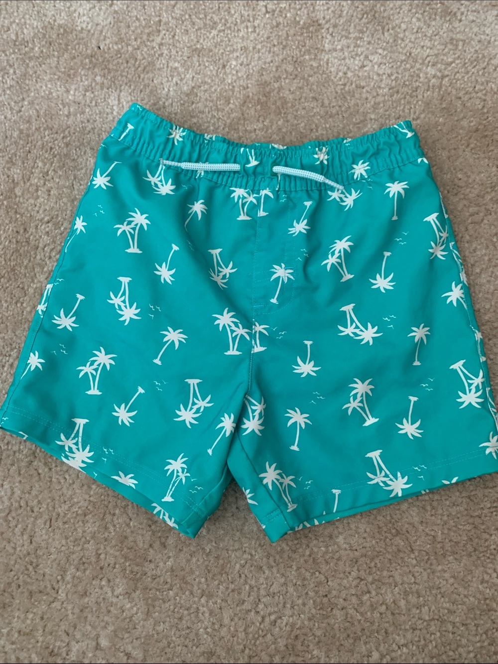 3T Aqua Green Palm Tree Swim Trunks with Mesh Lining